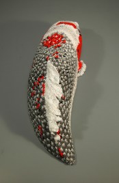 Jeannie's Koi, top view